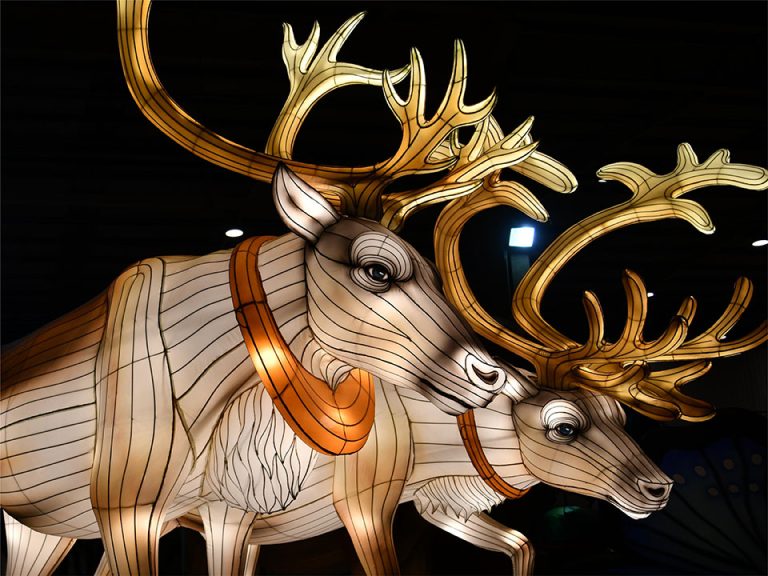 Two sets of elk-shaped lanterns are having their lights adjusted.