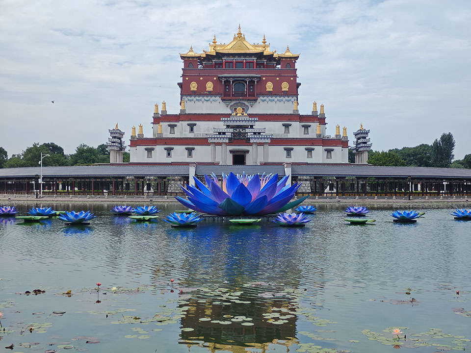 CHINESE LANTERN FESTIVAL, CHINESE LANTERN, CHINESE LANTERN SHOW