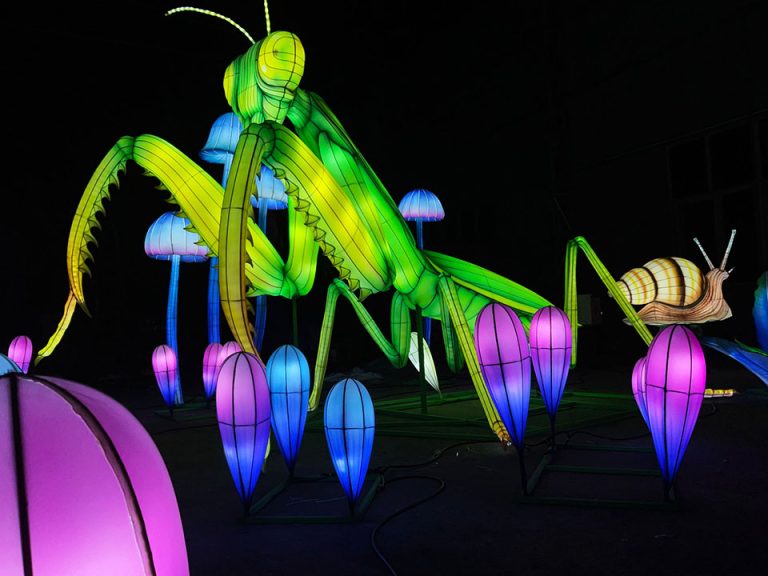 Chinese lantern lights: mantis- and mushroom-shaped lanterns glowing at night.