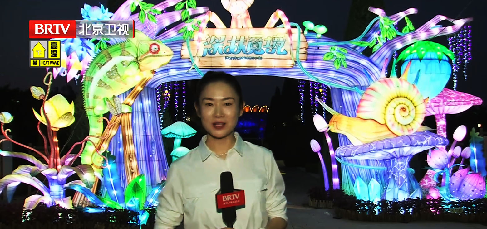 Chinese Garden Lantern Festival: a video screenshot of a media interview.