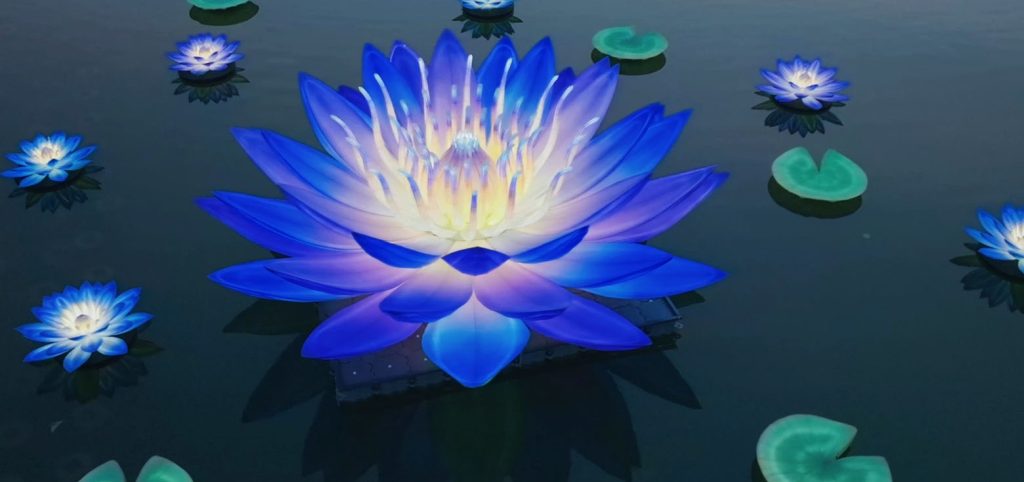 A captivating group of blue lotus floating water lanterns on the surface of the lake.