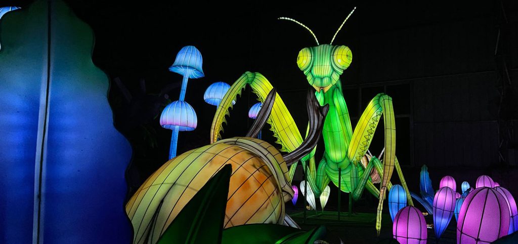Lighted Lanterns: Chinese Insect Lanterns in Praying Mantis and Beetle Shapes.