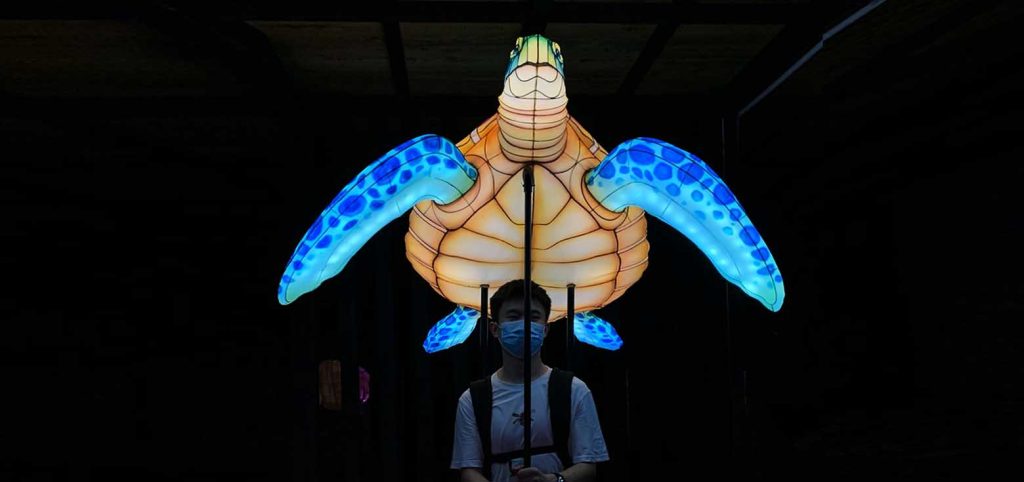 BLOG 7 Single-person wearable parade lantern shaped like a sea turtle.