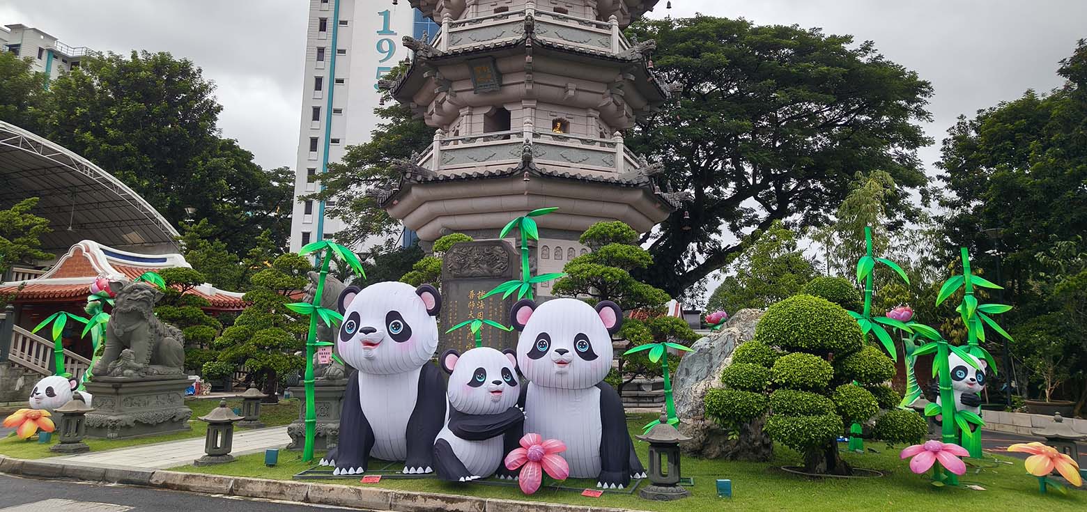 Singapore Mid-Autumn Lantern Festival: a cute panda family.