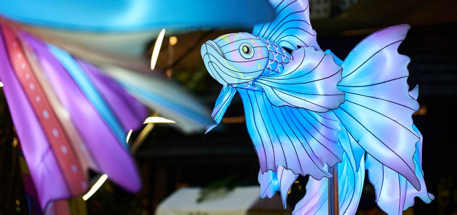 Shopping mall lantern decorations: a blue fighting fish lantern