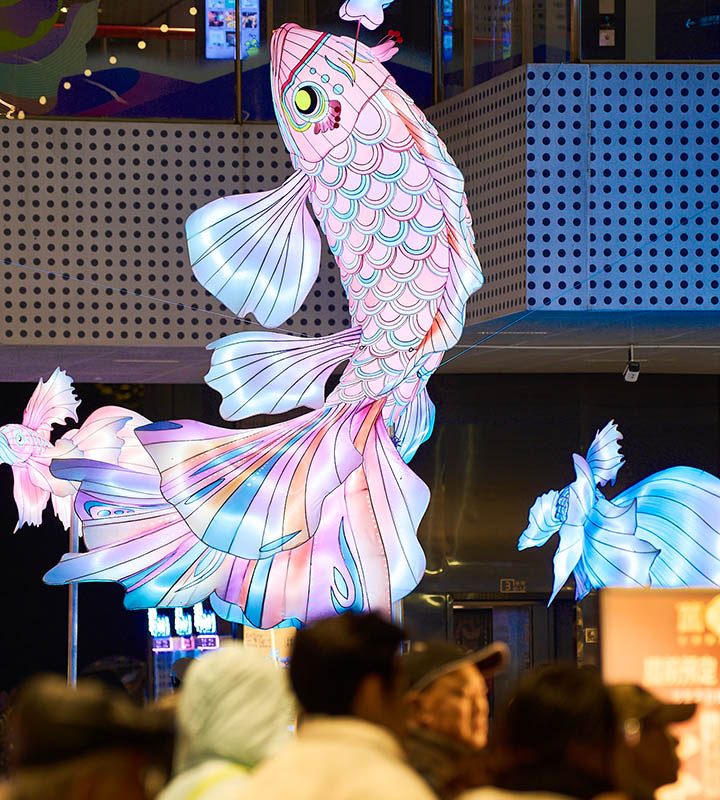 Exquisite Chinese fish lanterns for mall decoration.