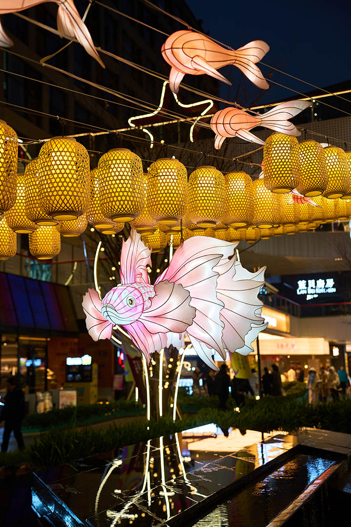 Traditional Chinese lanterns: fish lanterns suspended in mid-air at night.