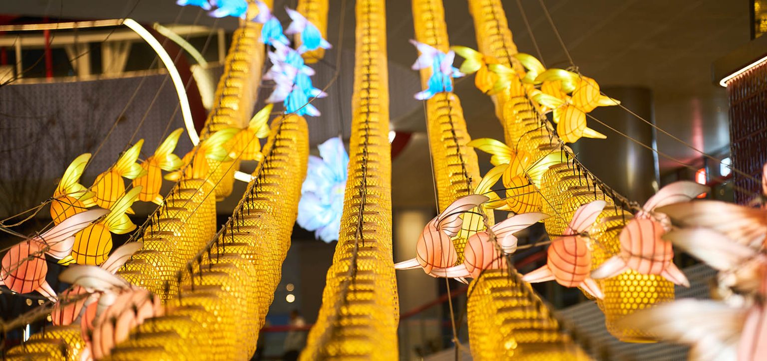 A swarm of simplified Chinese fish lanterns swimming in mid-air.