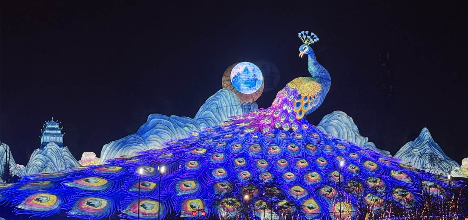A New Year decoration lantern: a massive peacock occupies an entire hillside