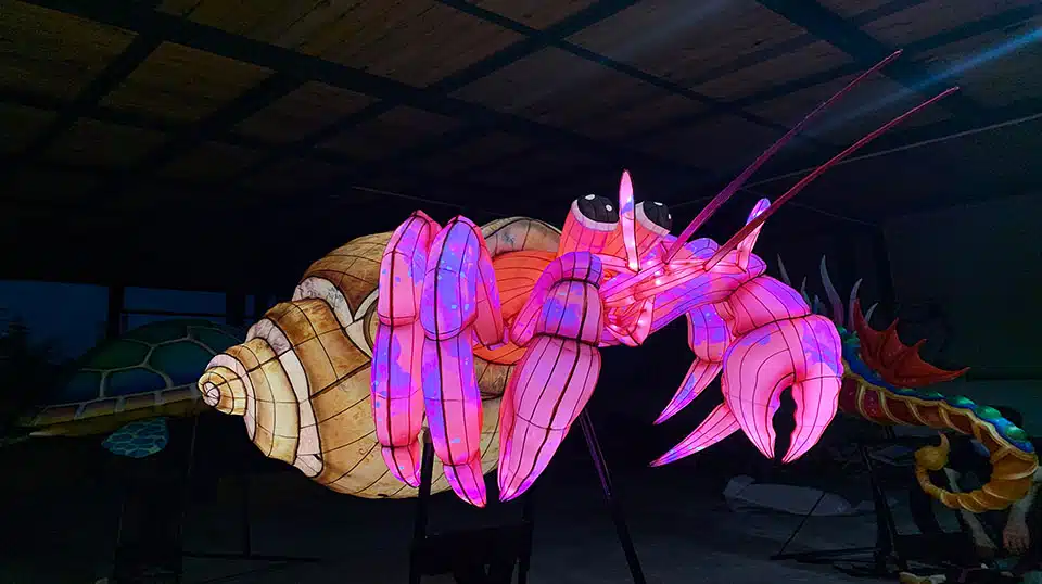 CHINESE LANTERN FESTIVAL, CHINESE LANTERN, CHINESE LIGHT SHOW