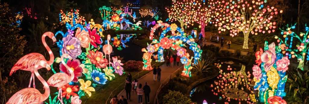 Chinese Parade Lanterns 9 Illuminated flamingo and flower arches along an outdoor zoo lantern festival pathway.