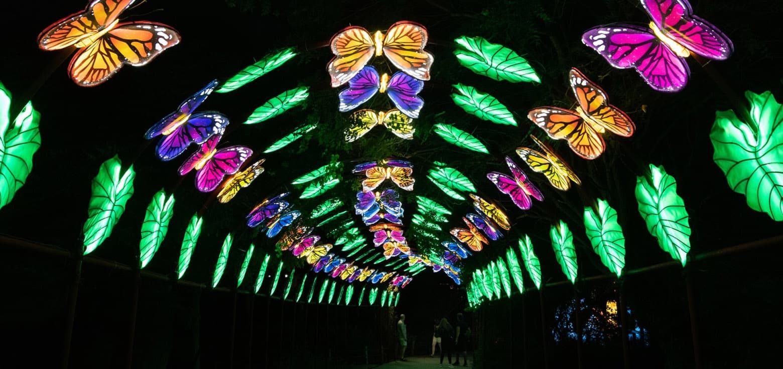 A fantastical passage decorated with butterfly-shaped colorful lanterns.