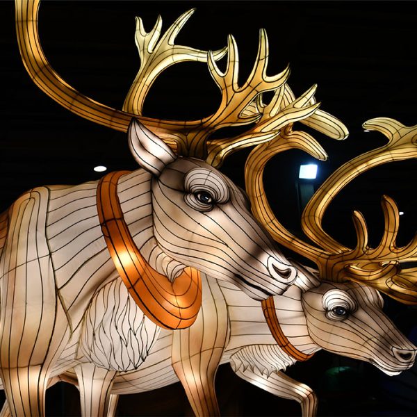LANTERN FESTIVAL, CHINESE LANTERNS, ANIMAL LANTERN, CATTLE LANTERN, ZOO LANTERN FESTIVAL