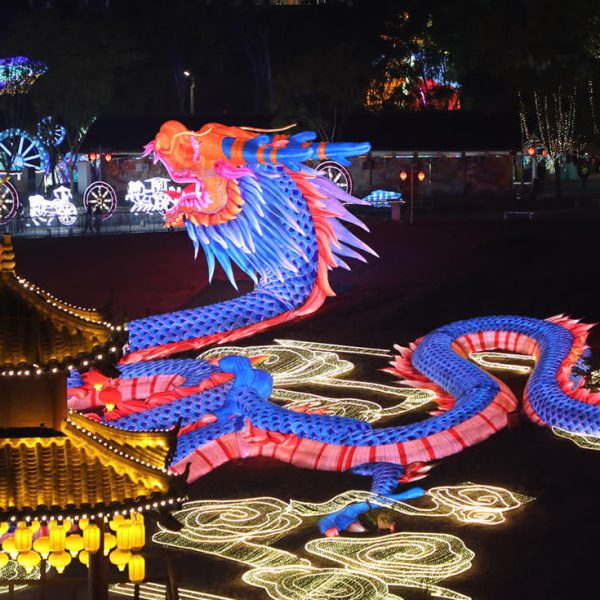 CHINESE LANTERN FESTIVAL, CHINESE LANTERN, CHINESE LANTERN SHOW,CHINESE NEW YEAR LANTERN