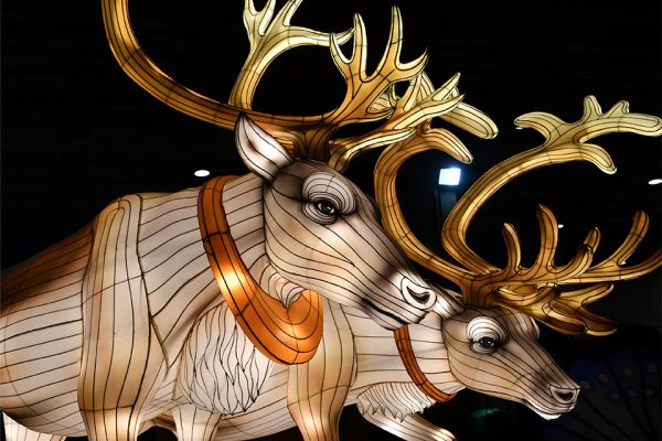 Custom Christmas light decorations:Two sets of elk-shaped lanterns.