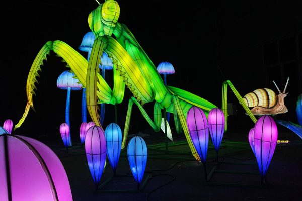 Custom Chinese lantern lights series: mantis- and mushroom-shaped lanterns glowing at night.