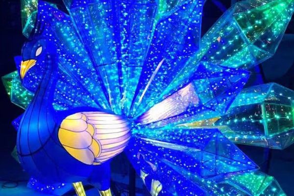 Small, new-style peacock lantern made with novel materials.