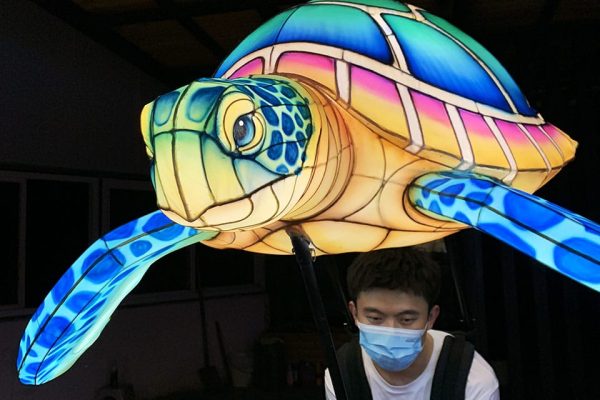 Custom Wearable Sea Turtle Parade Lantern Display.