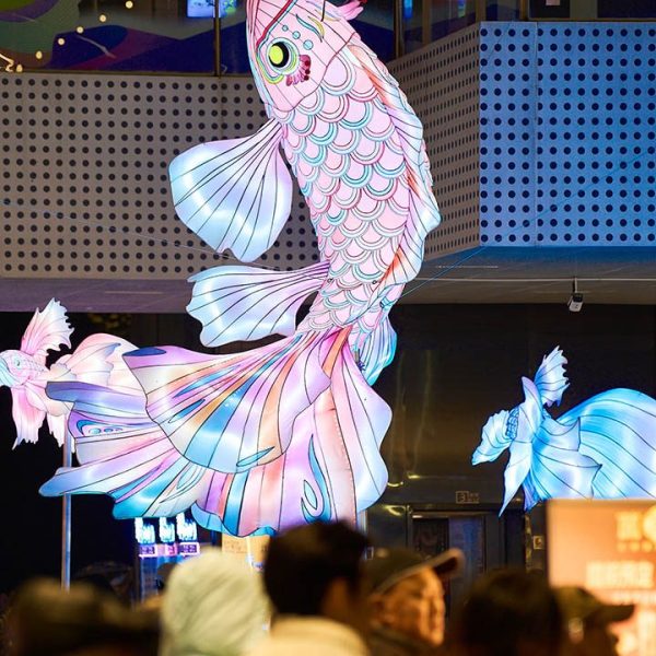 Exquisite Chinese fish lanterns for mall decoration.