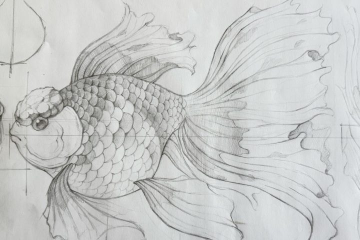 Hand-drawn Sketches of Chinese Fish Lanterns