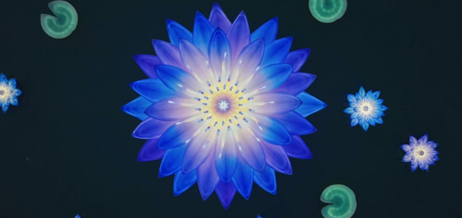 Types of Chinese Lanterns： Water Lanterns and Lotus Lanterns