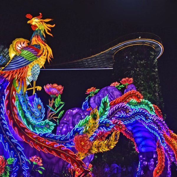 Large-scale Phoenix Lanterns at the Singapore Lantern Festival.