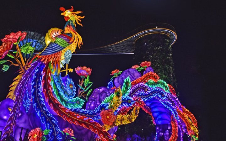 Großformatige Phönix-Laternen beim Laternenfest in Singapur.