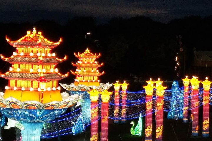 A spectacular Chinese lantern installation, dazzling with brilliant lights.