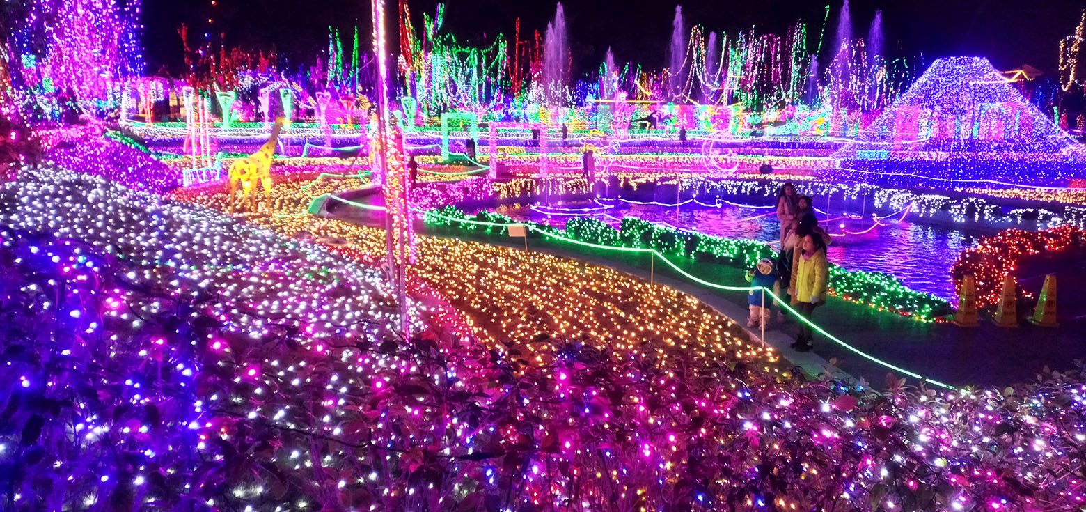 Brilliant Christmas light decorations fill the whole park.