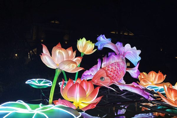 The illuminated Koi and Lotus water lanterns, once lit at night, are beautiful and enchanting.