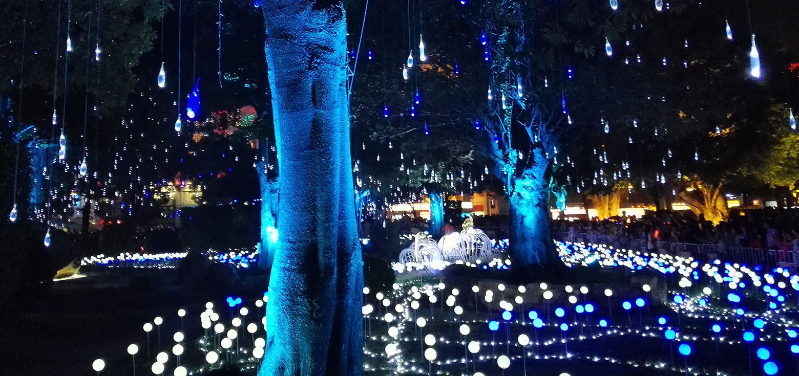 The night view of a park illuminated by outdoor lighting decorations.