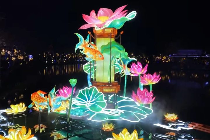 The stunningly beautiful lotus lantern group displayed on the water.