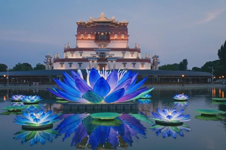 Captivating Chinese Blue Lotus Water Lanterns.