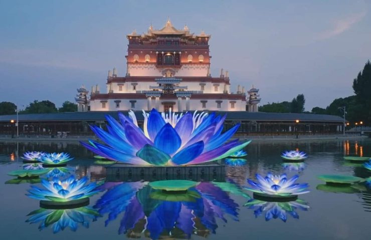 Captivating Chinese Blue Lotus Water Lanterns.