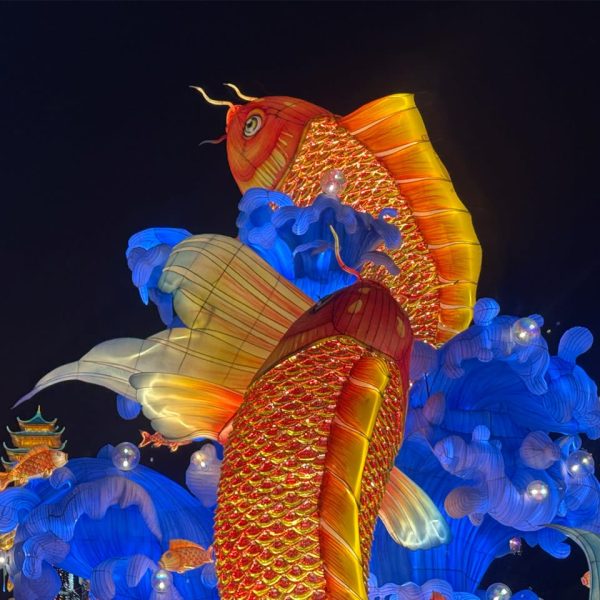 Two gigantic golden carp lanterns for the Mid-Autumn Festival.