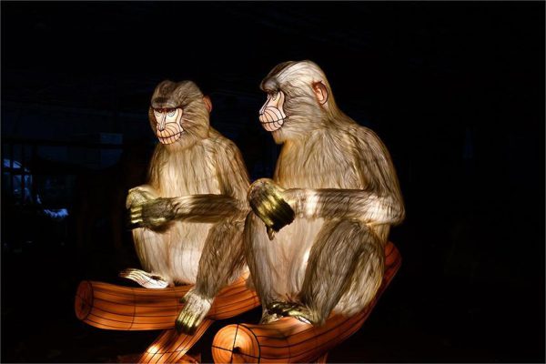 Two beautifully designed monkey-shaped lifelike animal lanterns.