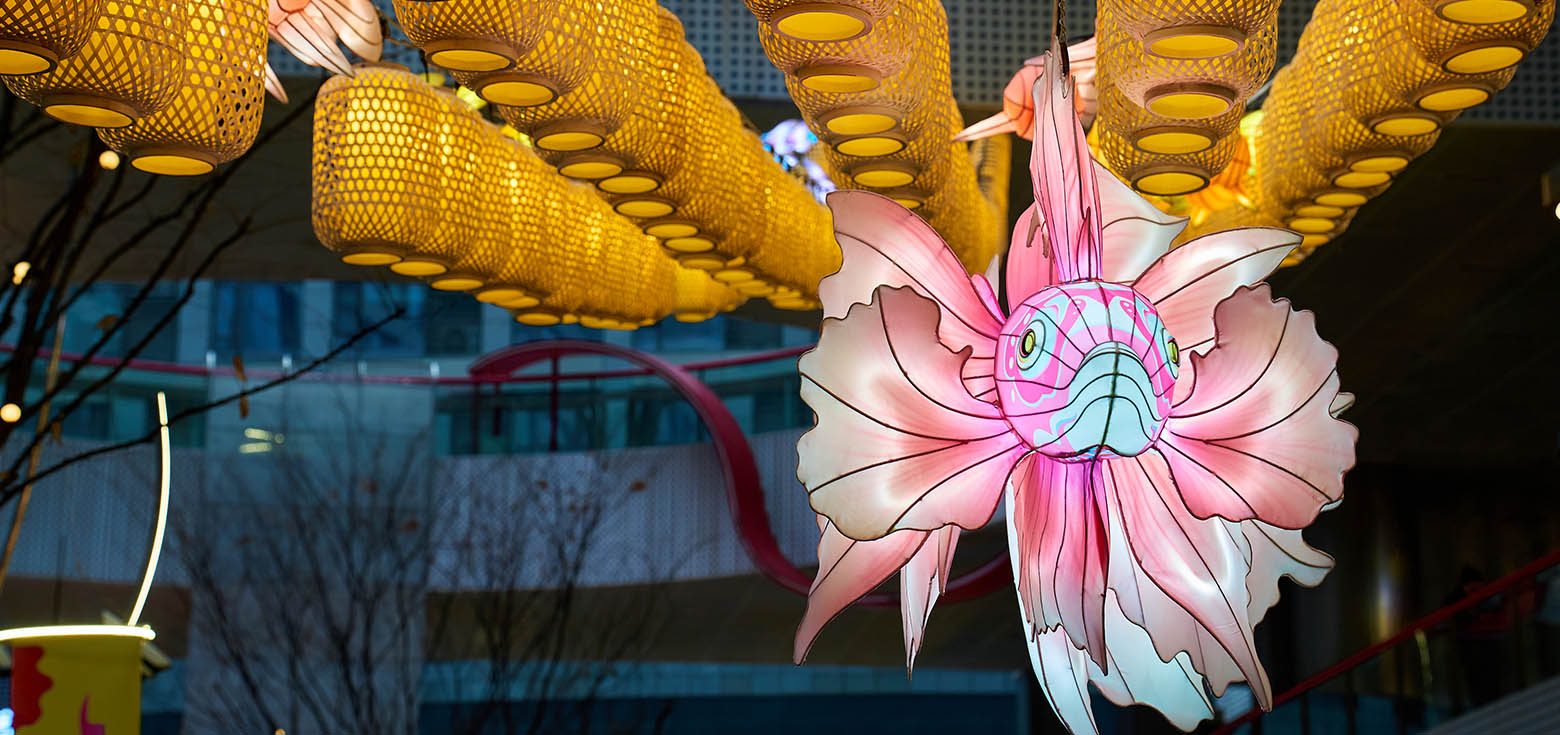 A Chinese New Year fish lantern suspended in the night sky.