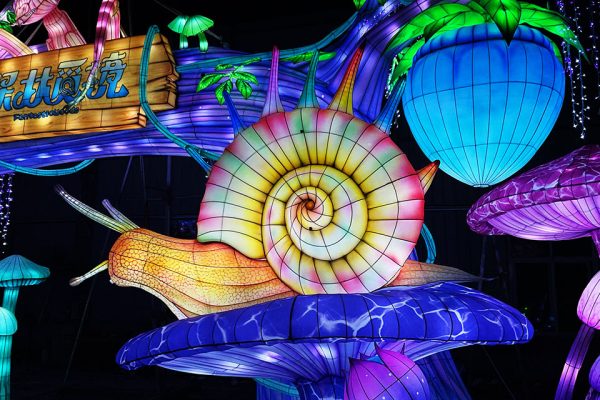 Festival Lantern Series: Colorful Snails and Mushrooms.