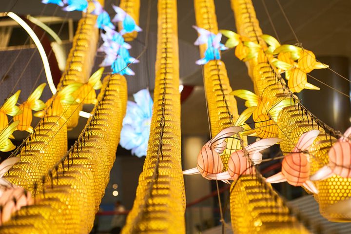A swarm of simplified Chinese fish lanterns swimming in mid-air.