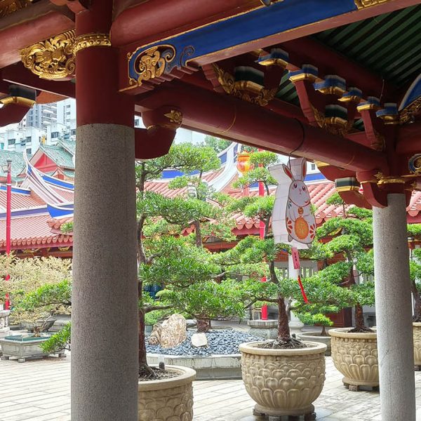 Chinese New Year Lanterns: Temple Fair Lanterns.