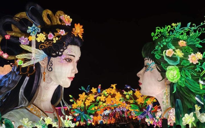 Festival des lanternes de Zigong 2025 : deux lanternes du festival des lanternes à grande échelle.